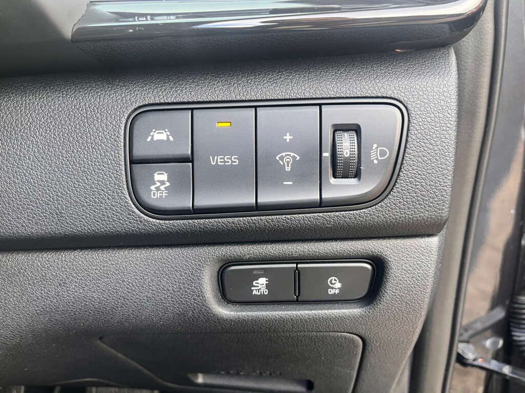Kia e-Niro 64 Kwh First Edition White #13