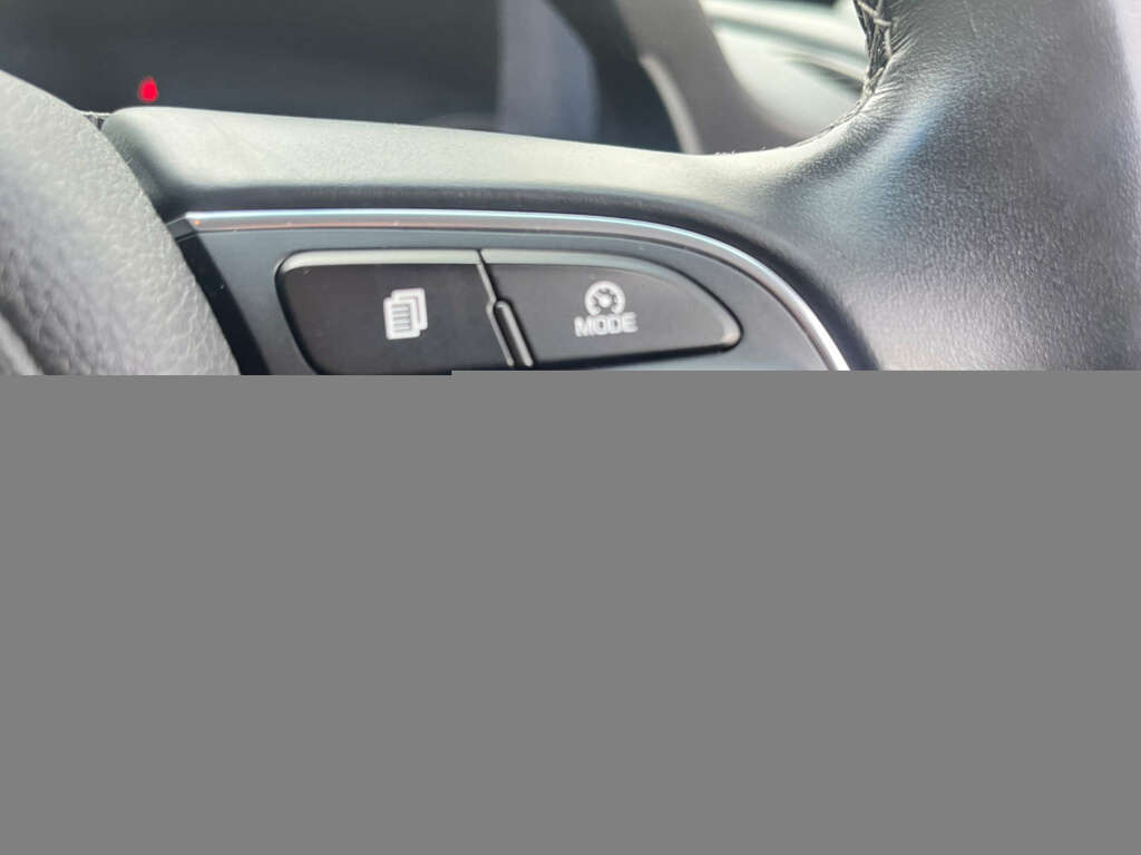Kia e-Niro 64 Kwh First Edition White #14