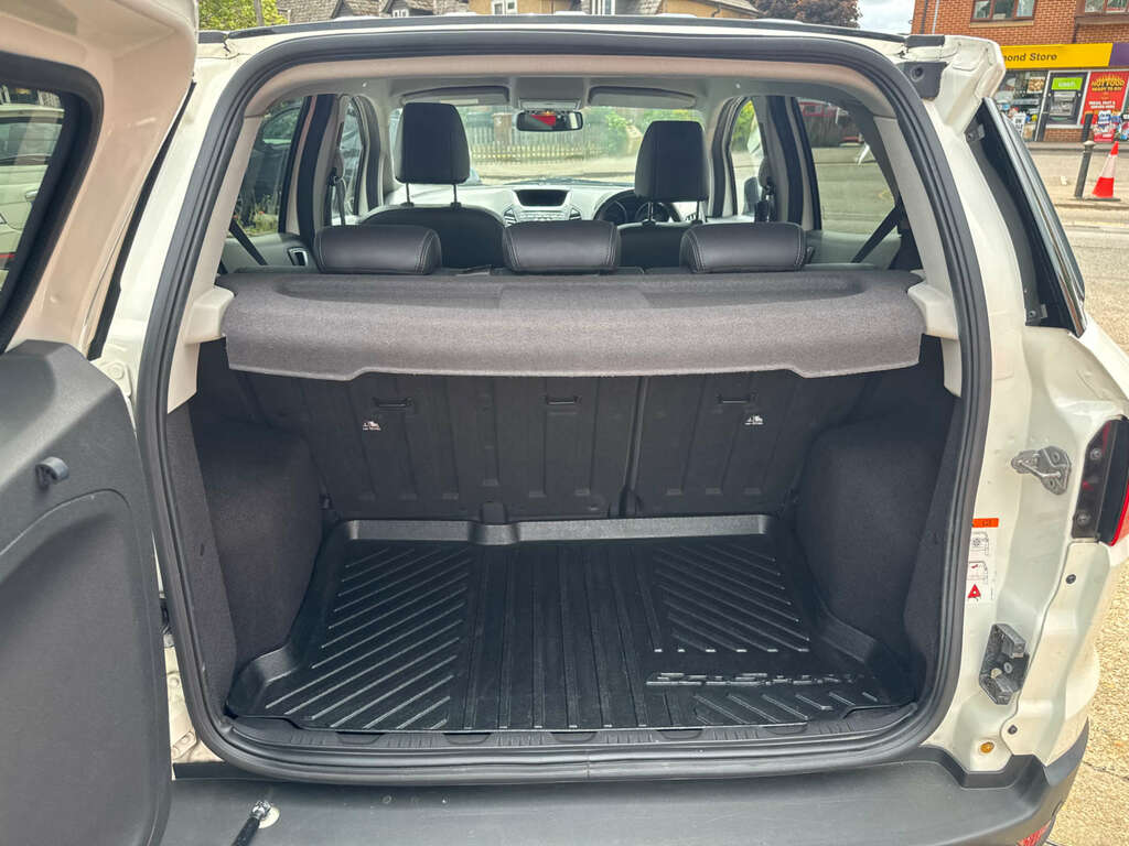 Ford Ecosport Titanium White #24