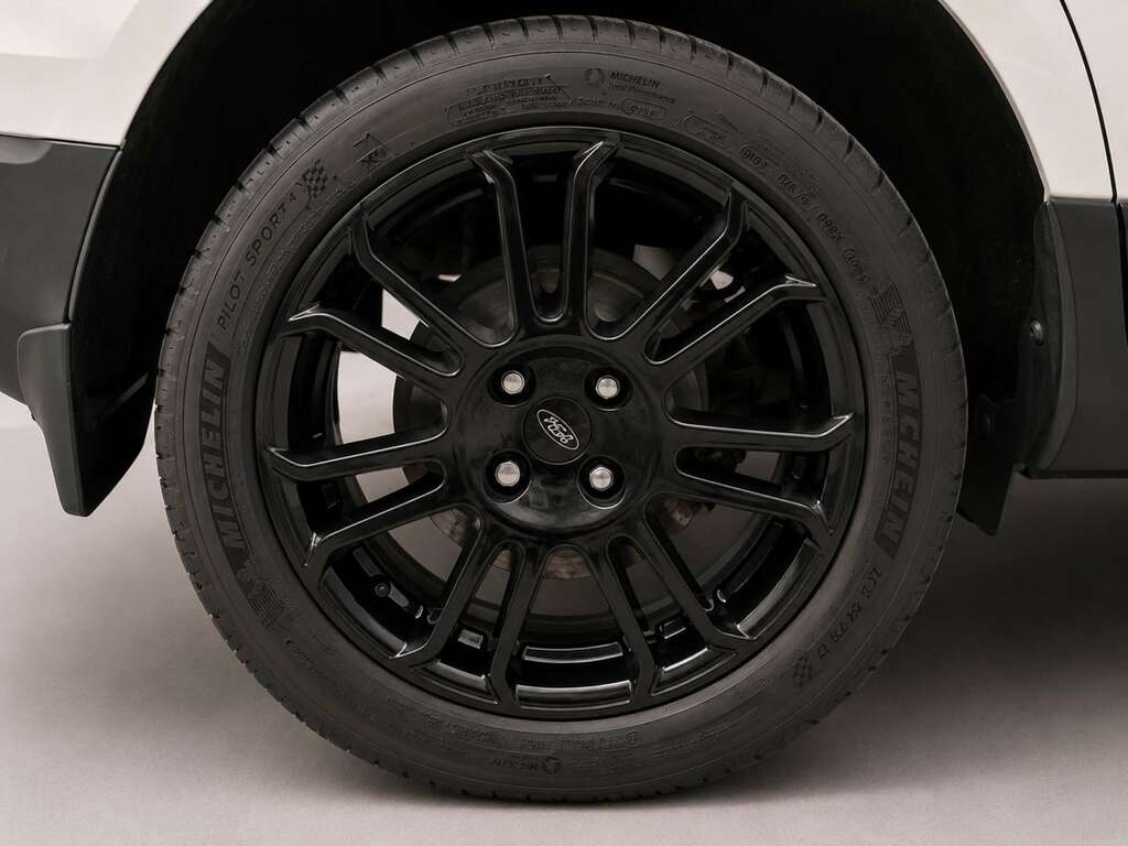Ford Ecosport Titanium White #21