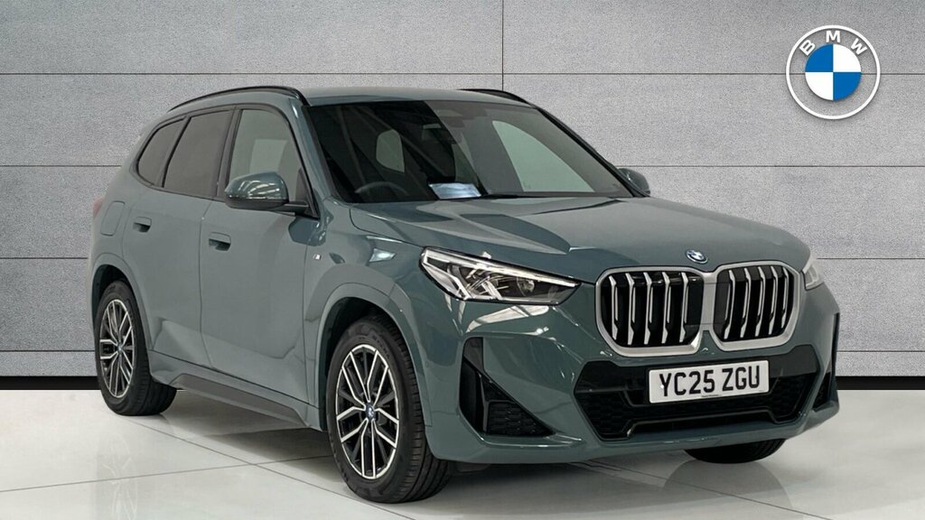 BMW X1 X1 Xdrive25e M Sport Green