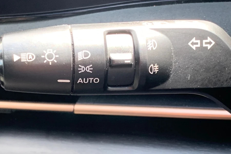 Nissan Ariya Evolve Brown #24