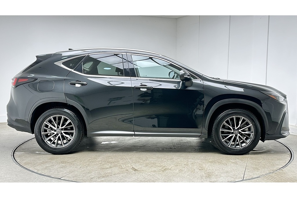 Lexus NX 450H Premium Black #4