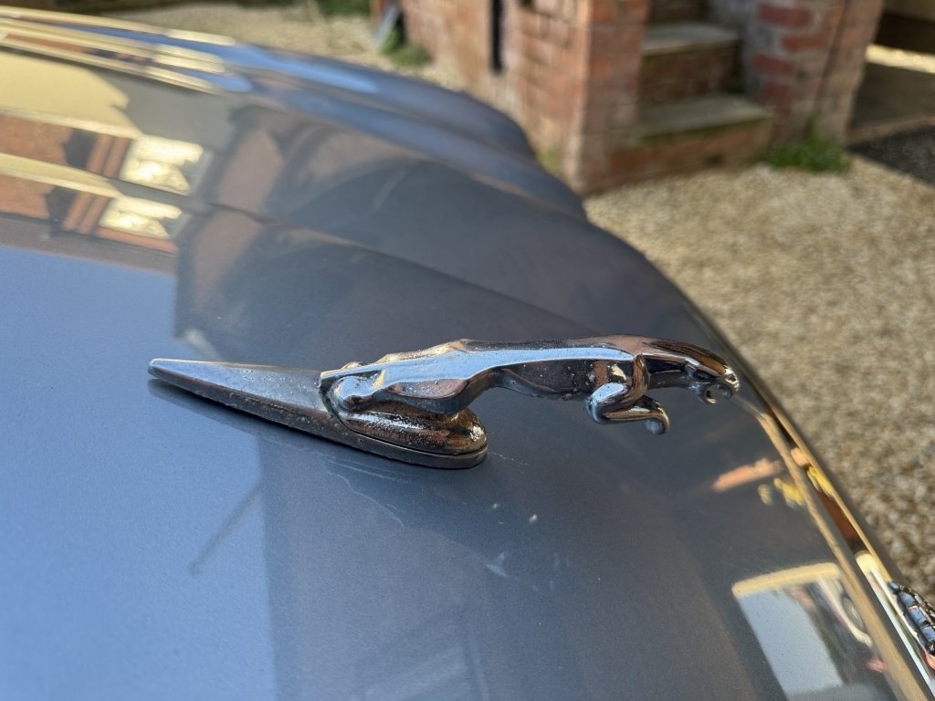Jaguar XJ V6 Used Gold #15