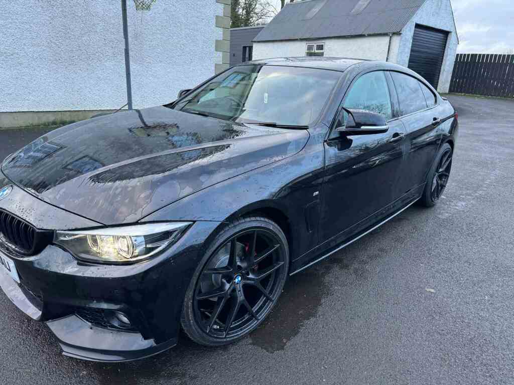 BMW 4 Series 420D 190 M Sport Professional Media HT19NAU #3