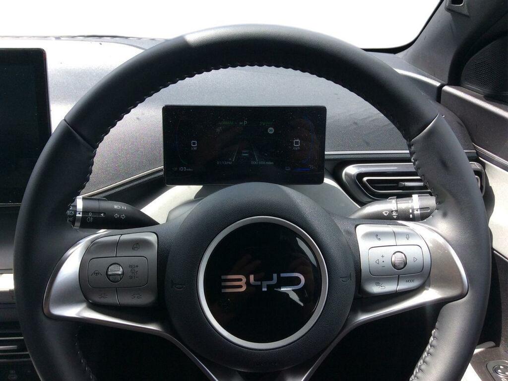 Byd Dolphin 115Kw Comfort 43Kwh Blue #13
