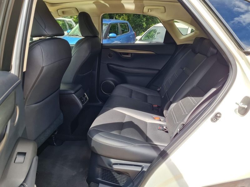 Lexus NX Suv Blue #31
