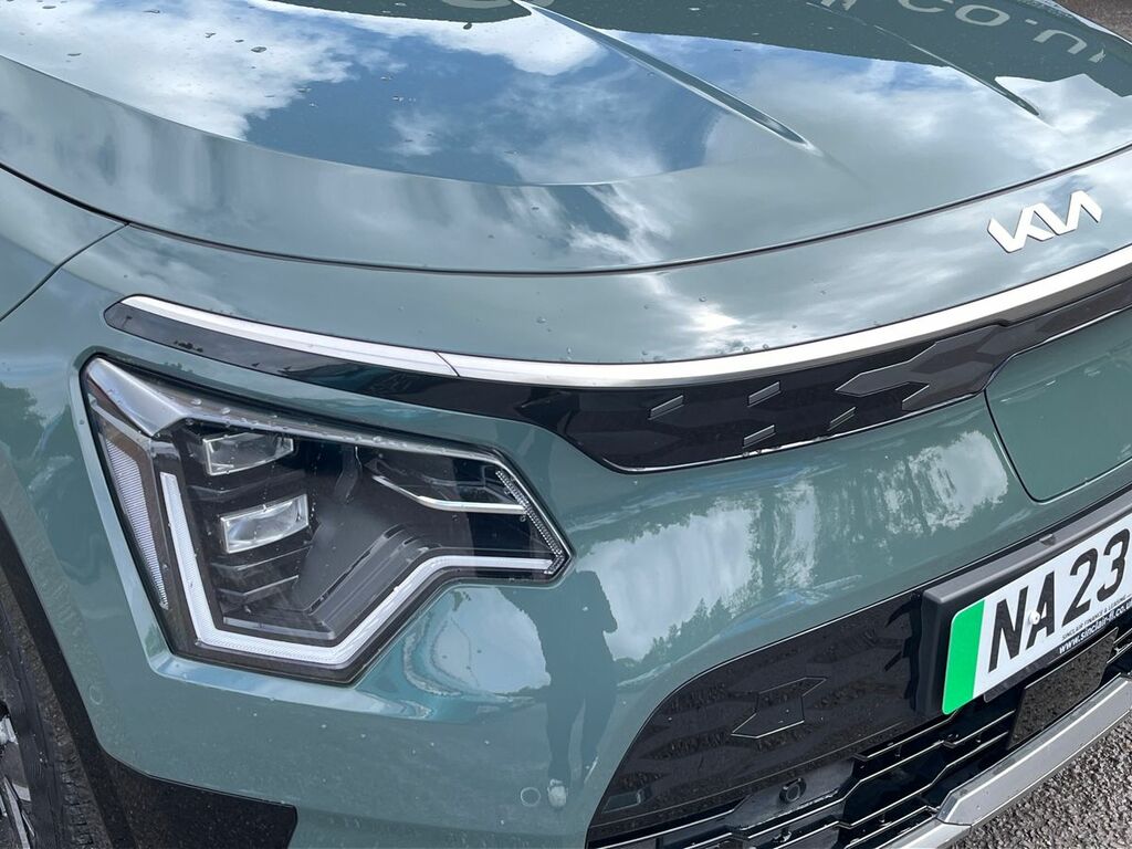 Kia e-Niro 150Kw 4 64Kwh Green #18