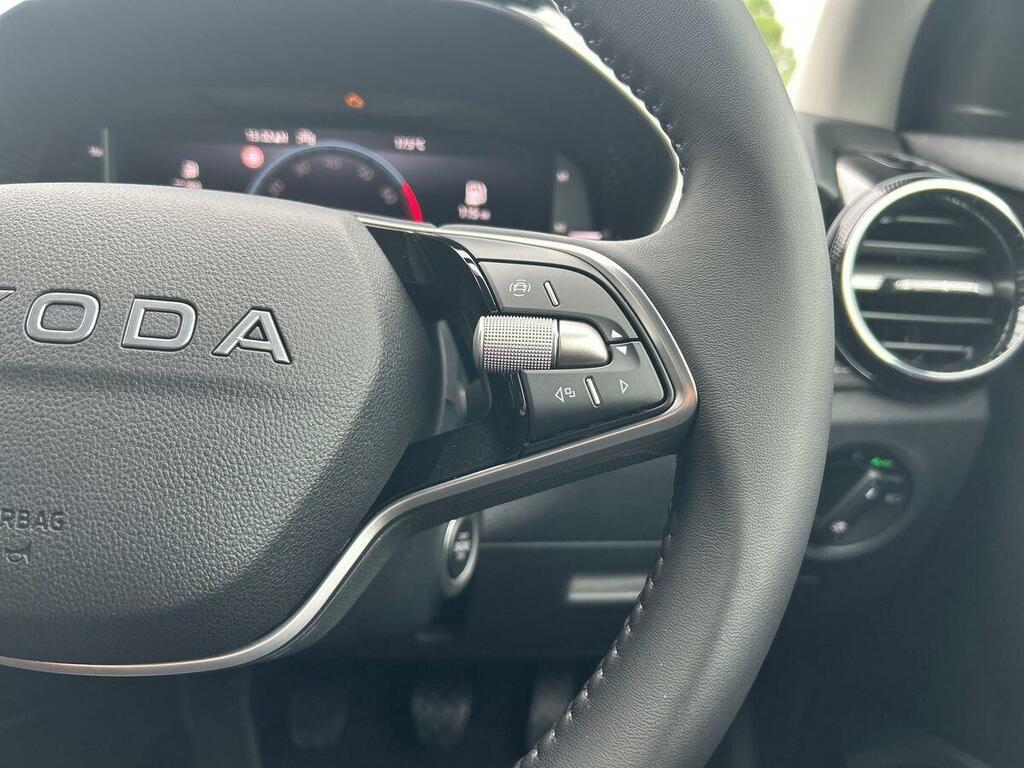 Skoda Fabia Monte Carlo Edition Green #16