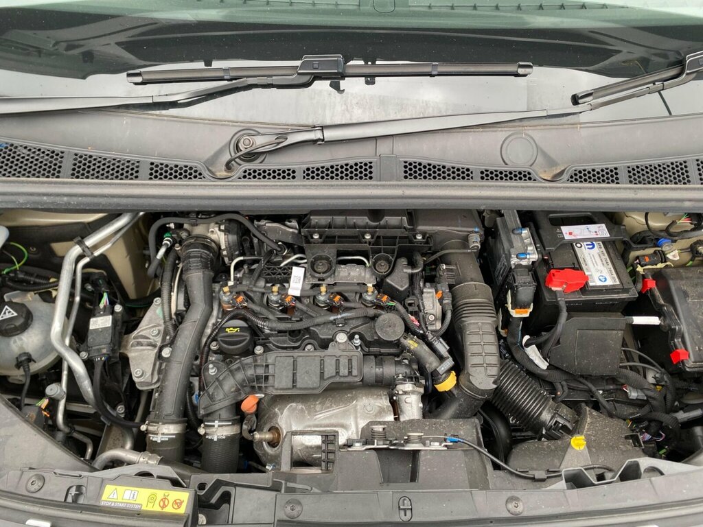 Citroen Berlingo 1.5 Bluehdi Plus M Combi 100 Green #22