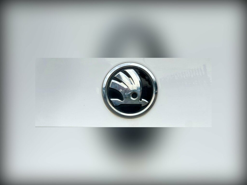 Skoda Fabia  Silver #38