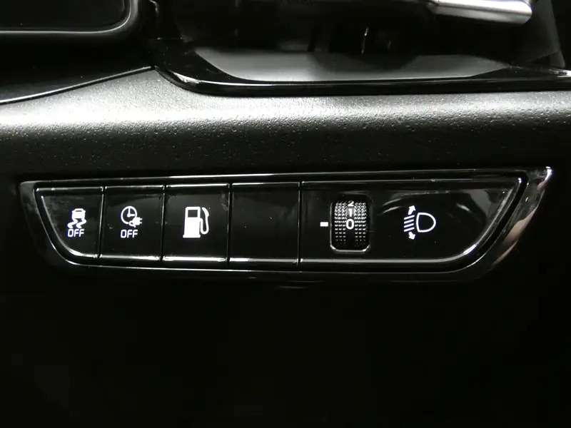 Kia e-Niro 64.8Kwh 2 Green #21