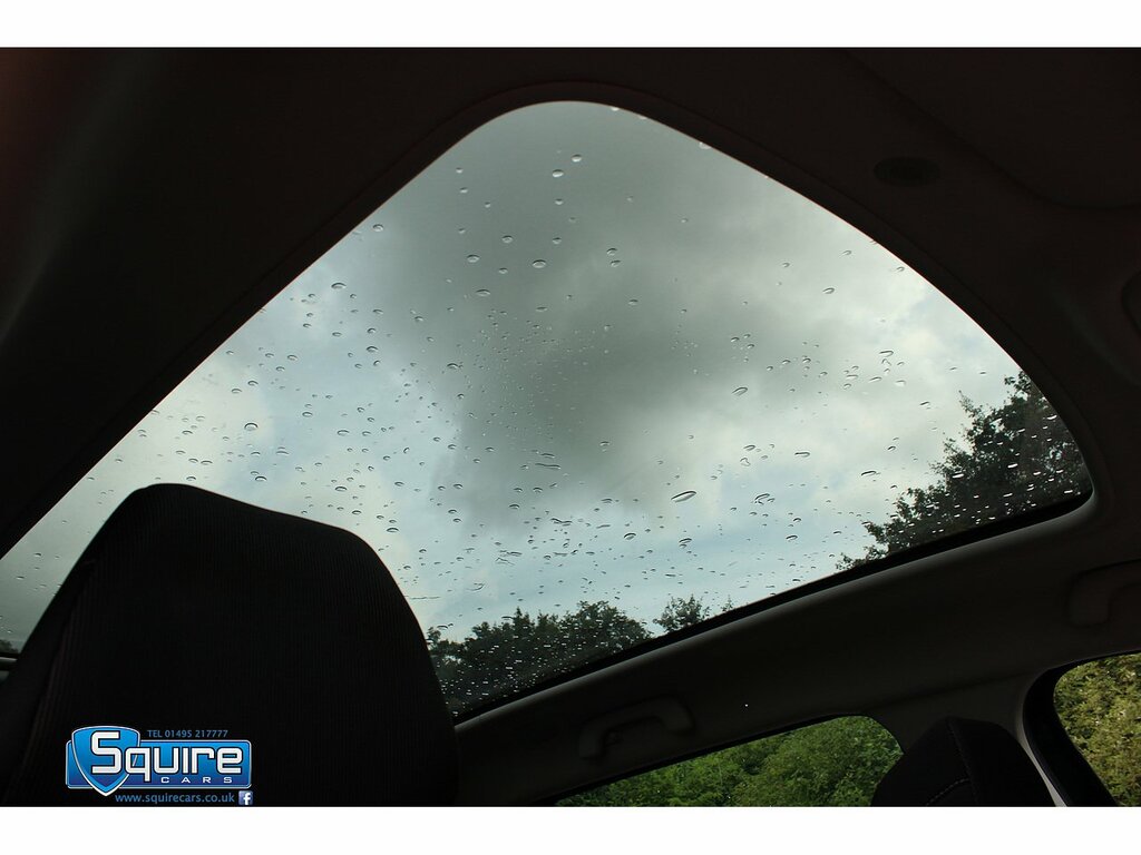 Renault Grand Scenic Iconic #14