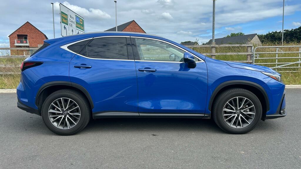 Lexus NX 2.5 350H E-cvt 4Wd Euro 6 Ss Blue #5