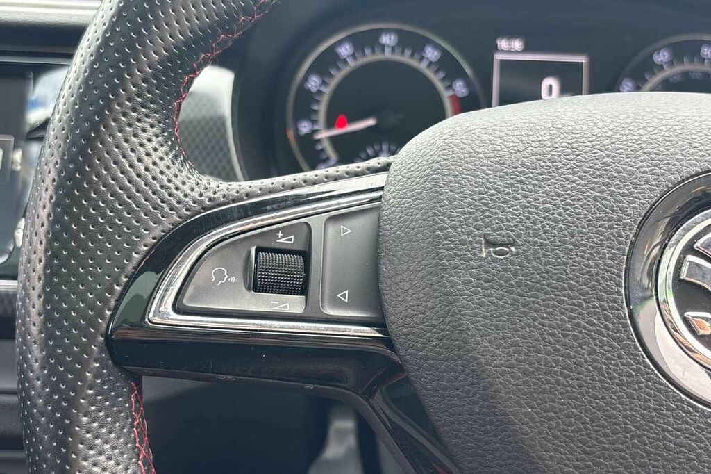 Skoda Fabia Hatchback Grey #17