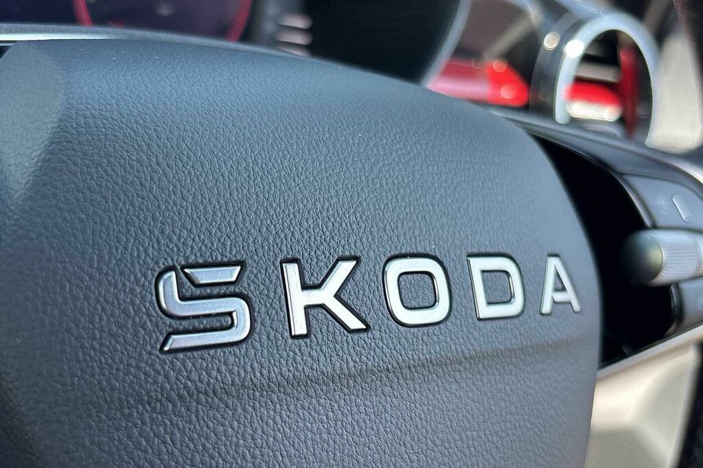 Skoda Fabia 1.0 Tsi 116 Design Edition Dsg Grey #21