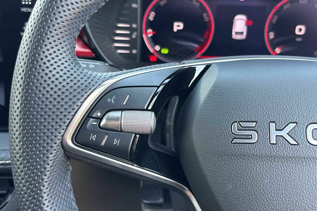Skoda Fabia 1.0 Tsi 116 Design Edition Dsg Grey #17