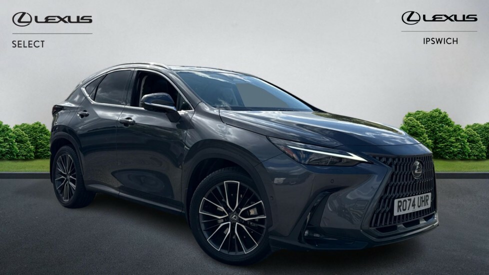 Lexus NX 2.5 450H 18.1Kwh Takumi E-cvt 4Wd Euro 6 Ss Grey