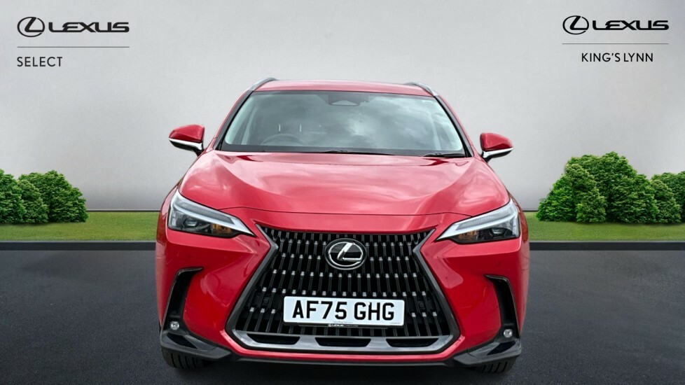 Lexus NX 2.5 450H 18.1Kwh Premium E-cvt 4Wd Euro 6 Ss 5 AF75GHG Red #4
