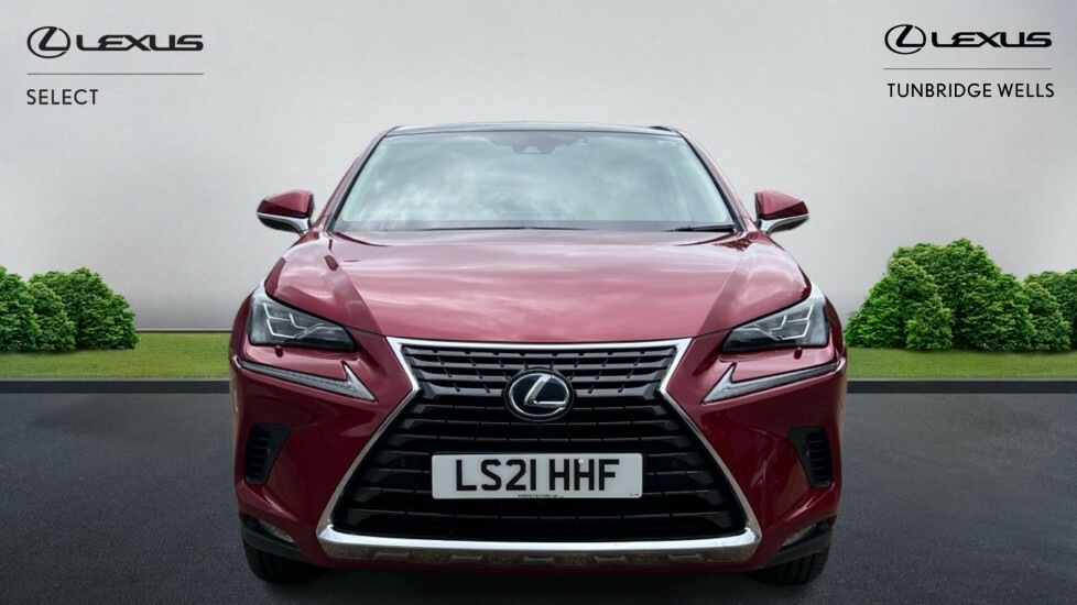 Lexus NX 2.5 300H Gpf Takumi E-cvt 4Wd Euro 6 Ss LS21HHF Red #4