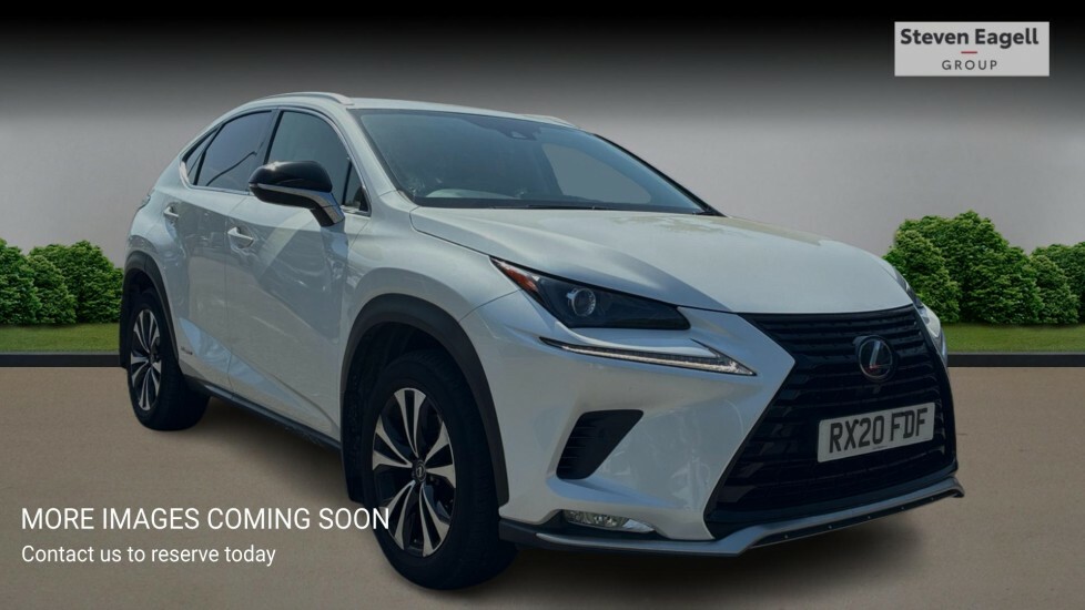 Lexus NX 2.5 300H Gpf E-cvt 4Wd Euro 6 Ss White