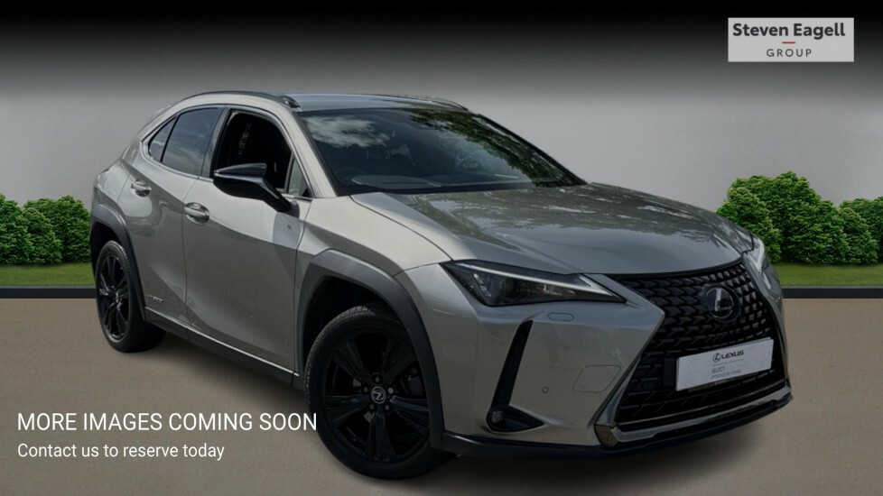 Lexus UX 2.0 250H Premium Sport Edition E-cvt Euro 6 Ss Silver
