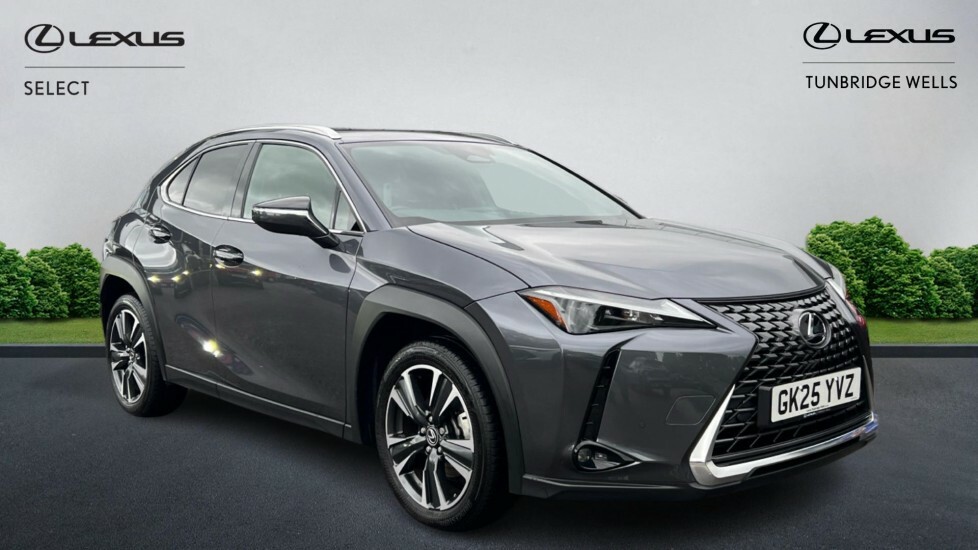 Lexus UX 2.0 300H Premium Plus E-cvt Euro 6 Ss Grey