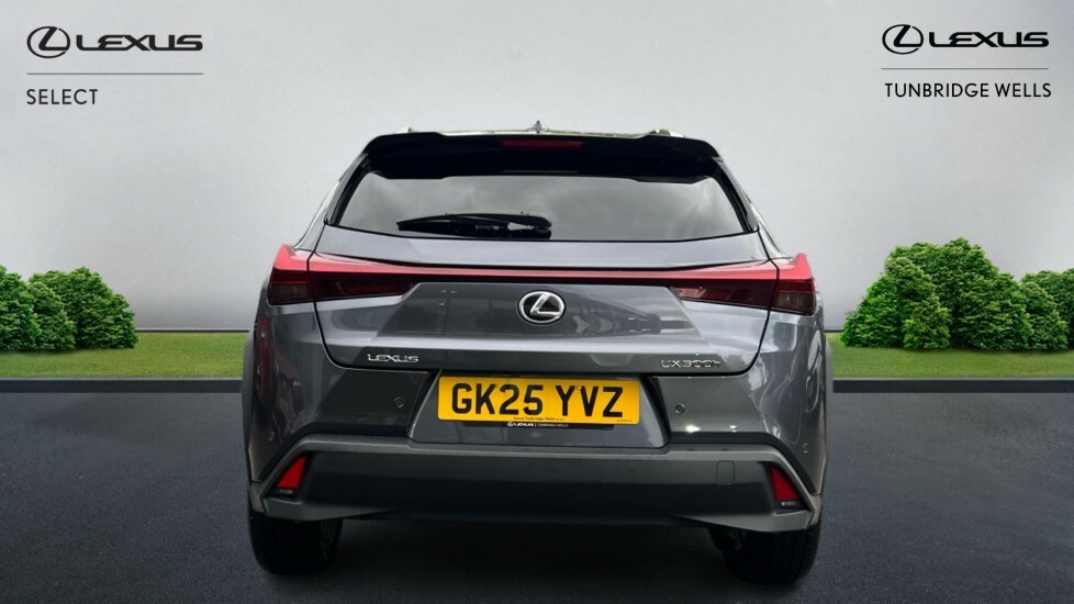 Lexus UX 2.0 300H Premium Plus E-cvt Euro 6 Ss GK25YVZ Grey #5