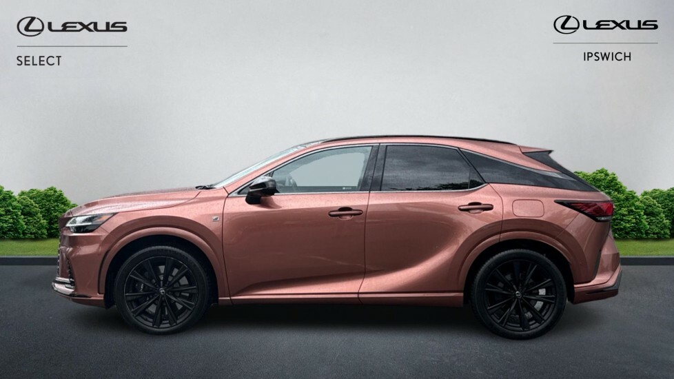 Lexus RX 2.4 500H Turbo F Sport Direct4 Euro 6 Ss 5  #3