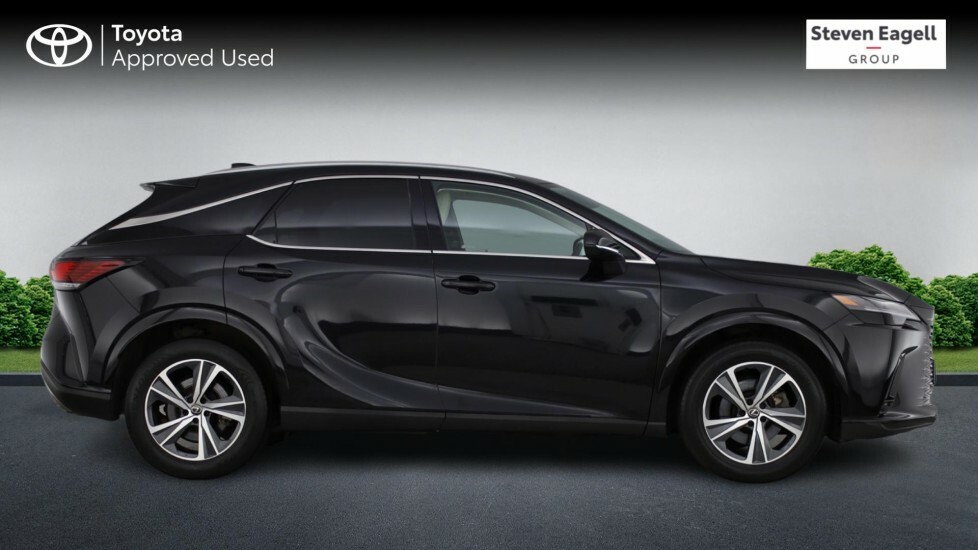 Lexus RX 450H Takumi Grey #16