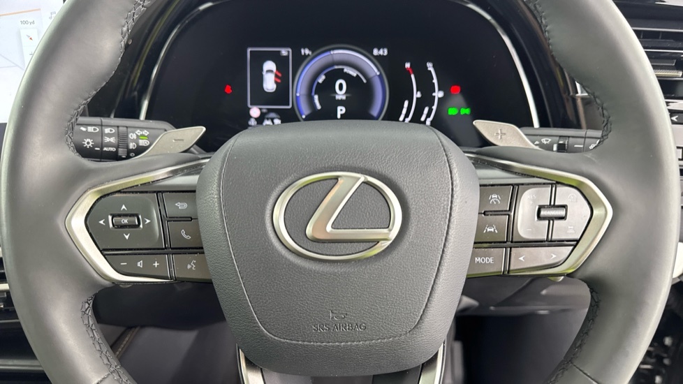 Lexus RX 450H Takumi Grey #11