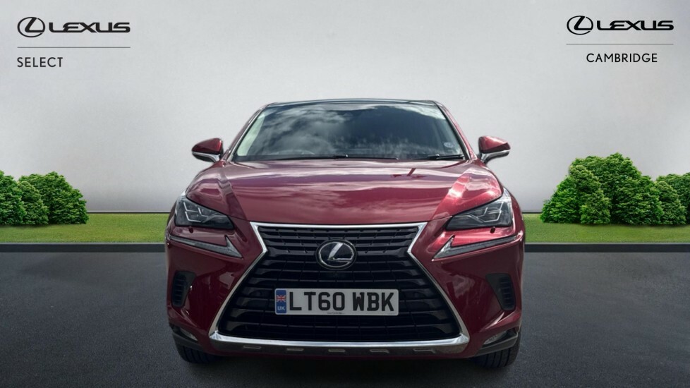 Lexus NX 2.5 300H Gpf Takumi Suv Hybrid E-cvt 4W Red #4