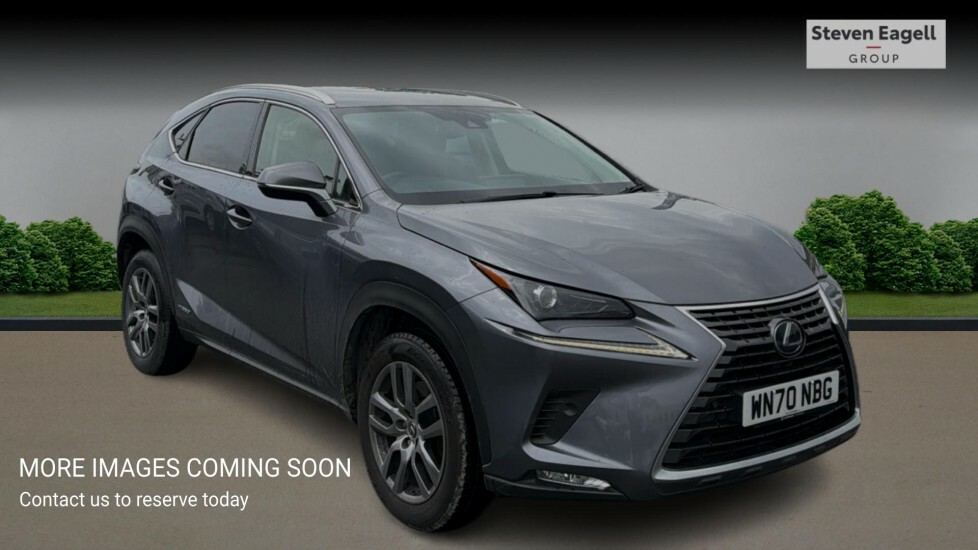 Lexus NX 2.5 300H Gpf E-cvt 4Wd Euro 6 Ss Grey