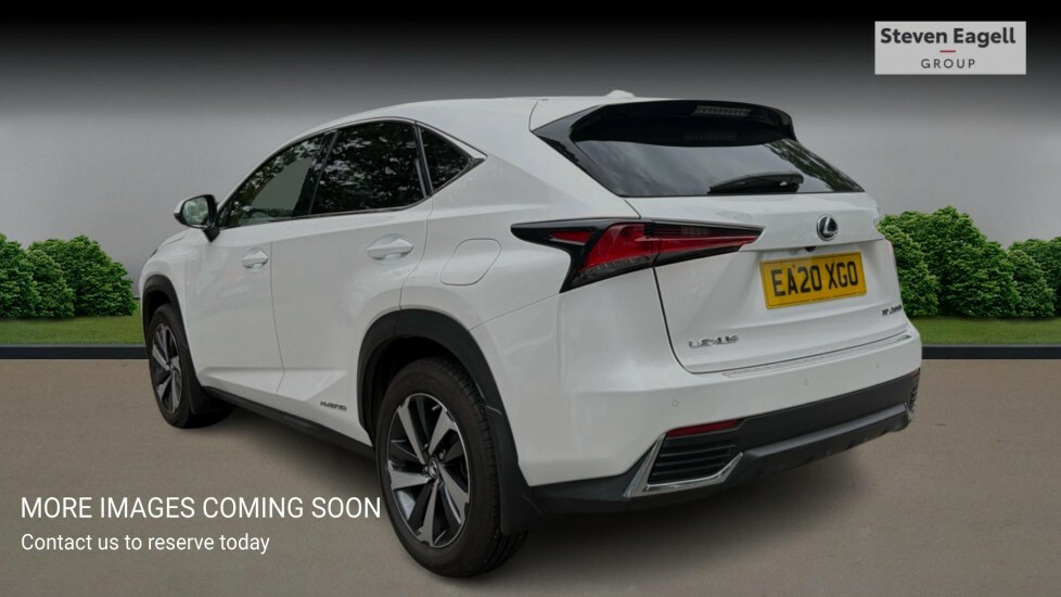 Lexus NX 2.5 300H Gpf Takumi E-cvt 4Wd Euro 6 Ss White #2