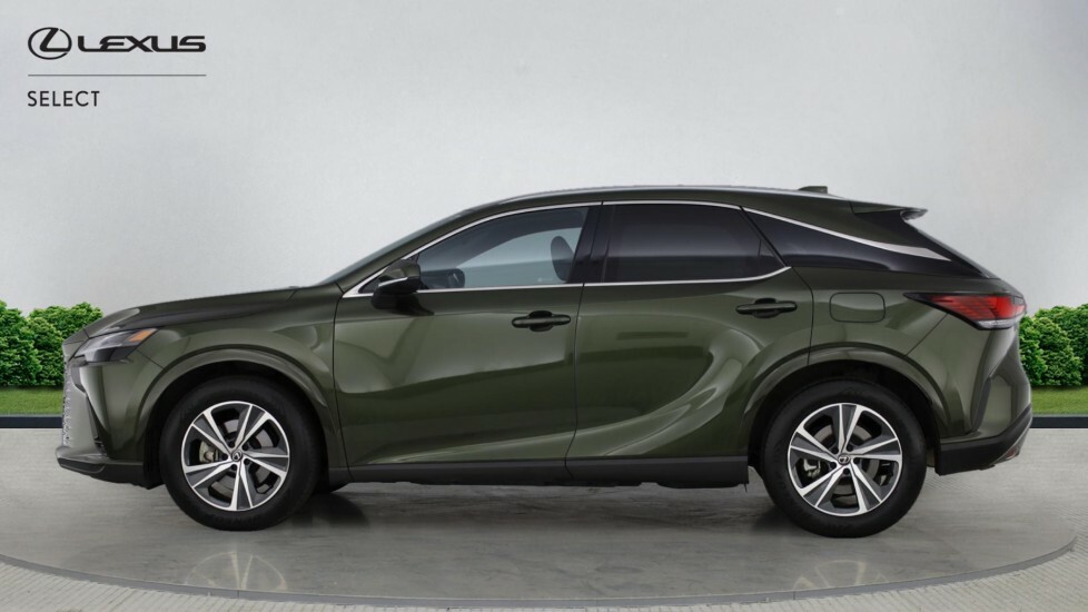 Lexus RX 2.5 450H 18.1Kwh Prem Suv Plug-in Hybr #3