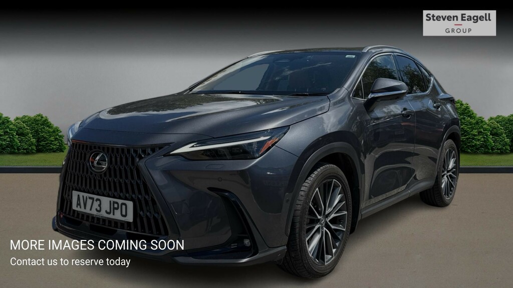 Lexus NX 2.5 450H 18.1Kwh Takumi E-cvt 4Wd Euro 6 Ss Grey #3