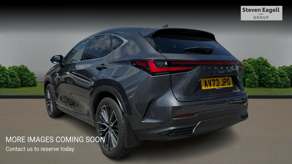 Lexus NX 2.5 450H 18.1Kwh Takumi E-cvt 4Wd Euro 6 Ss Grey #2