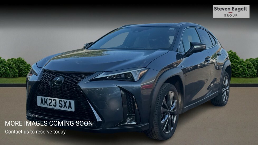 Lexus UX 2.0 250H F Sport Design E-cvt Euro 6 Ss Grey #3