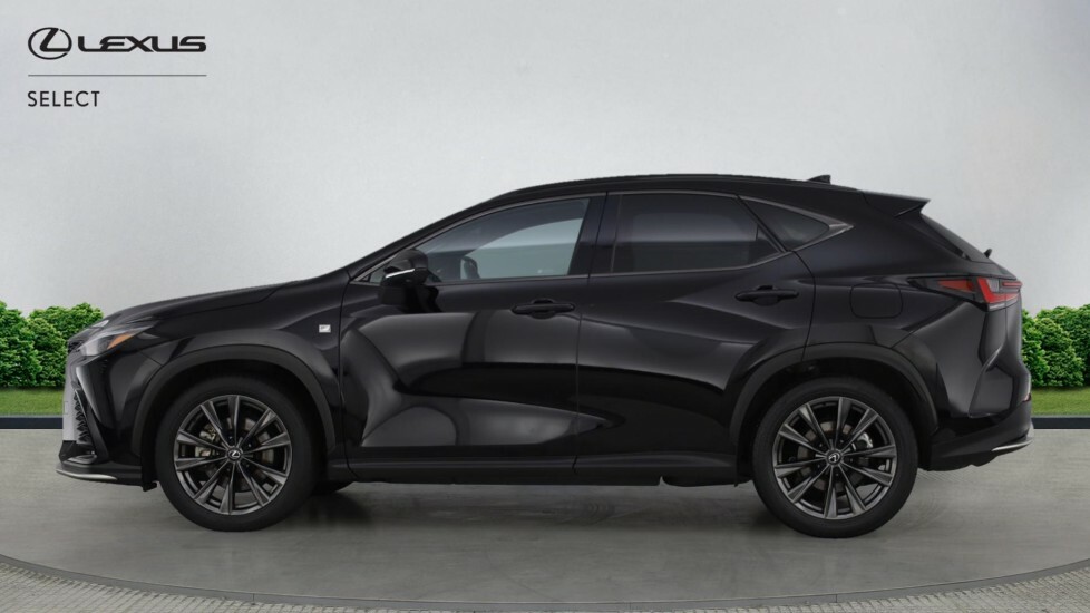 Lexus NX 2.5 450H 18.1Kwh F Sport E-cvt 4Wd Euro 6 Ss 5 Black #3