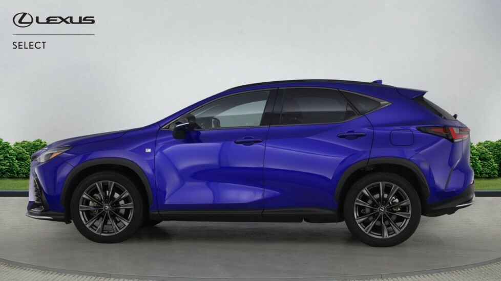 Lexus NX 2.5 450H 18.1Kwh F Sport E-cvt 4Wd Euro 6 Ss 5 Blue #3