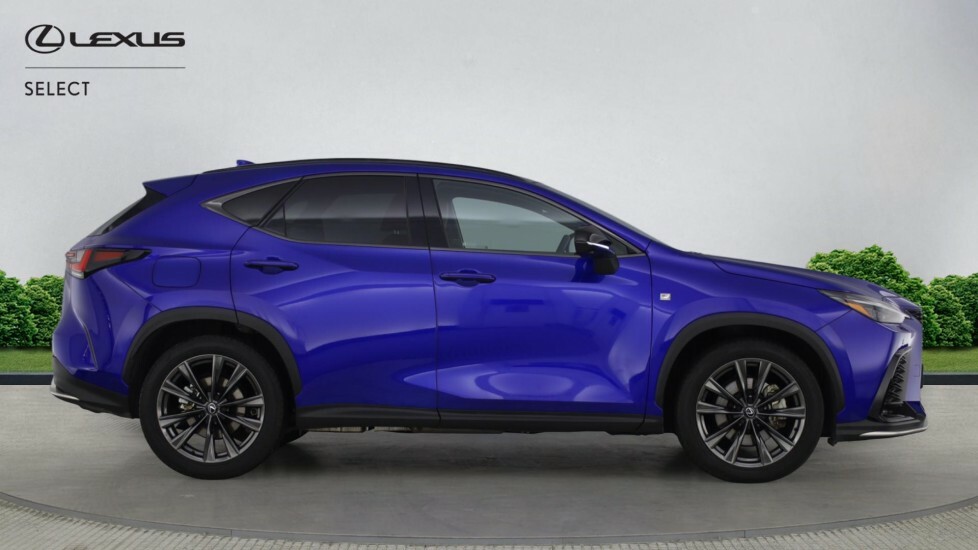 Lexus NX 2.5 450H 18.1Kwh Premium Plus E-cvt 4Wd Euro 6 S White #16