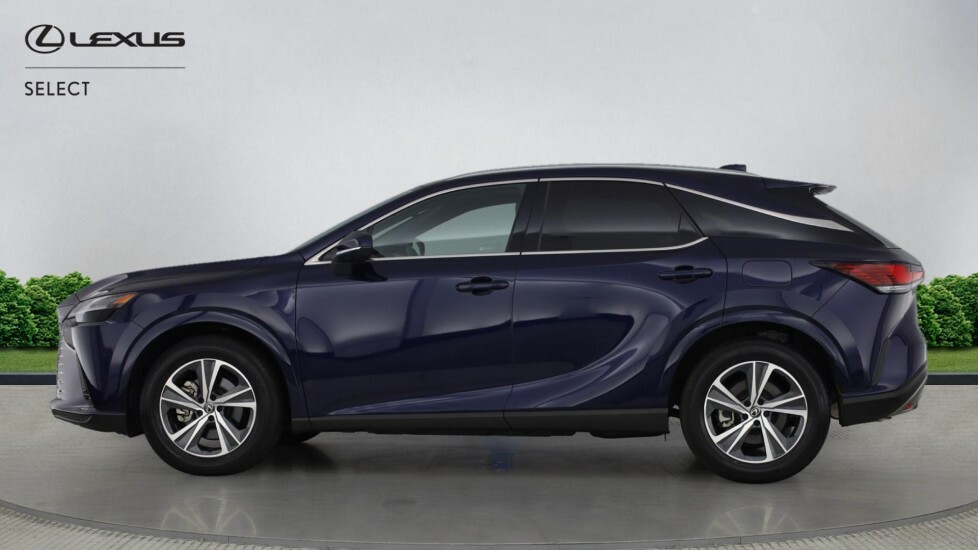 Lexus RX 2.5 450H 18.1Kwh Prem E-cvt 4Wd Euro 6 Ss Blue #3