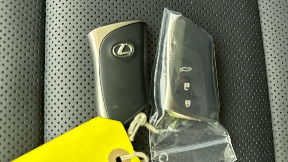 Lexus NX 2.5 450H 18.1Kwh Plug-in E-cvt 4Wd Black #27