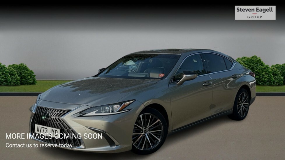Lexus ES 2.5 300H Premium Edition E-cvt Euro 6 Ss Silver #3