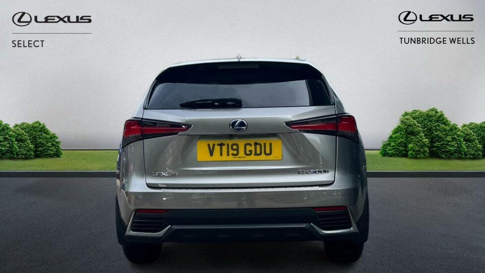 Lexus NX 2.5 300H E-cvt 4Wd Euro 6 Ss Silver #5