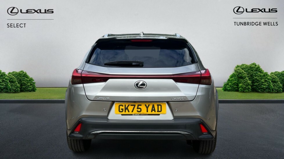 Lexus UX 2.0 300H F Sport Design E-cvt Euro 6 Ss Silver #5