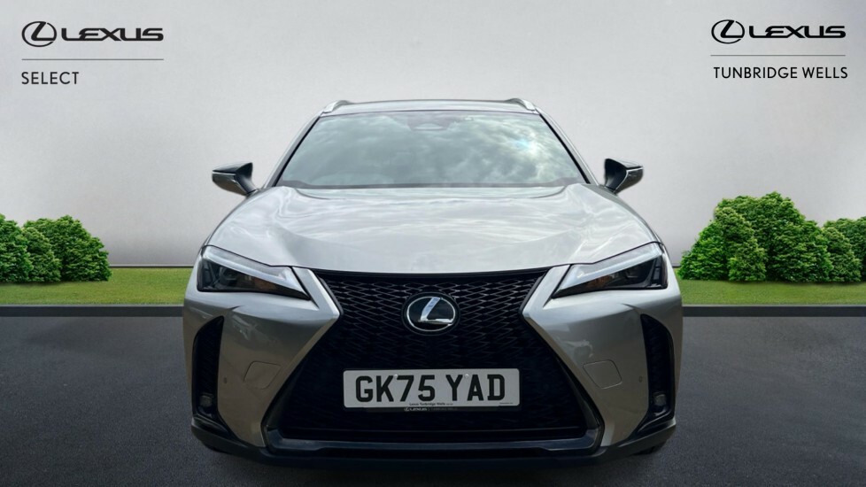 Lexus UX 2.0 300H F Sport Design E-cvt Euro 6 Ss Silver #4