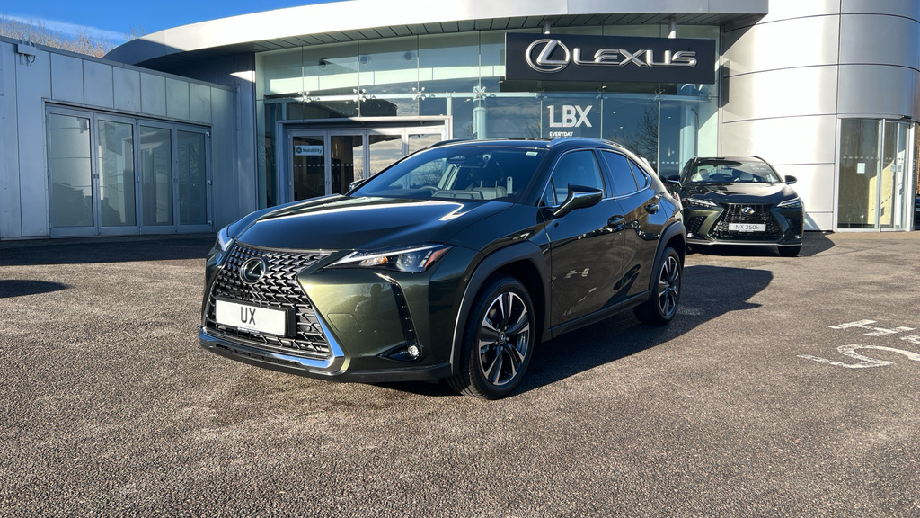 Lexus UX 300E 150Kw 72.8 Kwh Takumi E-cvt Silver #17