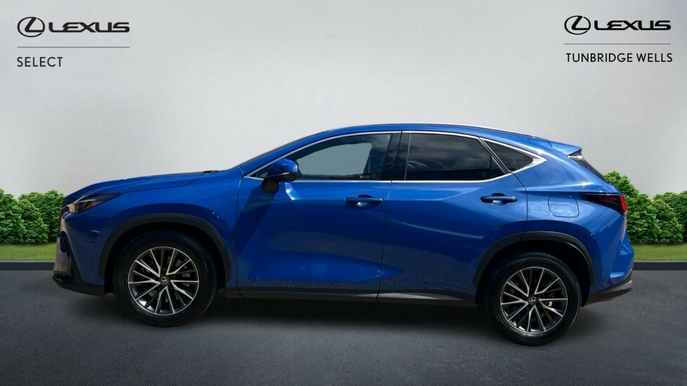 Lexus NX 2.5 450H 18.1Kwh Premium E-cvt 4Wd Euro 6 Ss 5 Blue #3