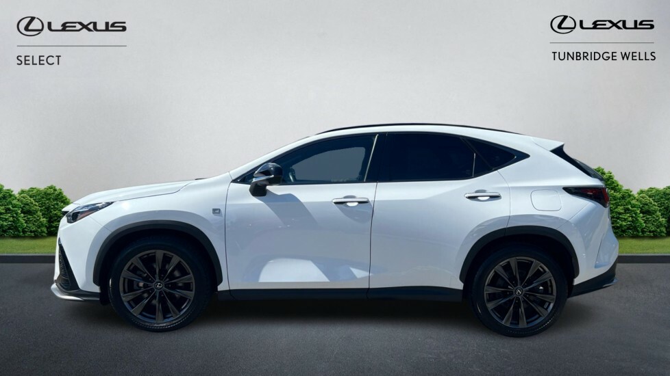 Lexus NX 2.5 450H 18.1Kwh F Sport E-cvt 4Wd Euro 6 Ss 5 White #3